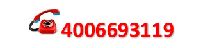 4006693119
